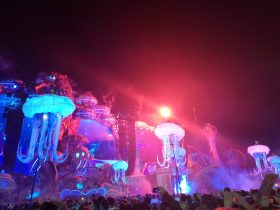 a2e52c0b-aa95-4d8b-9cf8-5a21bc501288